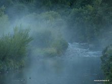 Au matin - Nouvelle Zélande
